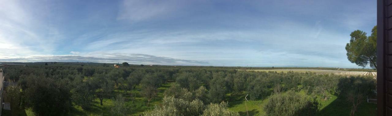 Villa Farm Agriturismo Masseria Chiusurella Corato Exterior foto
